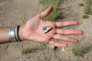 Potsherds are common around Indian Bread Rocks, evidence that Apaches and other native peoples utilized the abundant desert food plants and wildlife still found in this seldom-visited wilderness area.